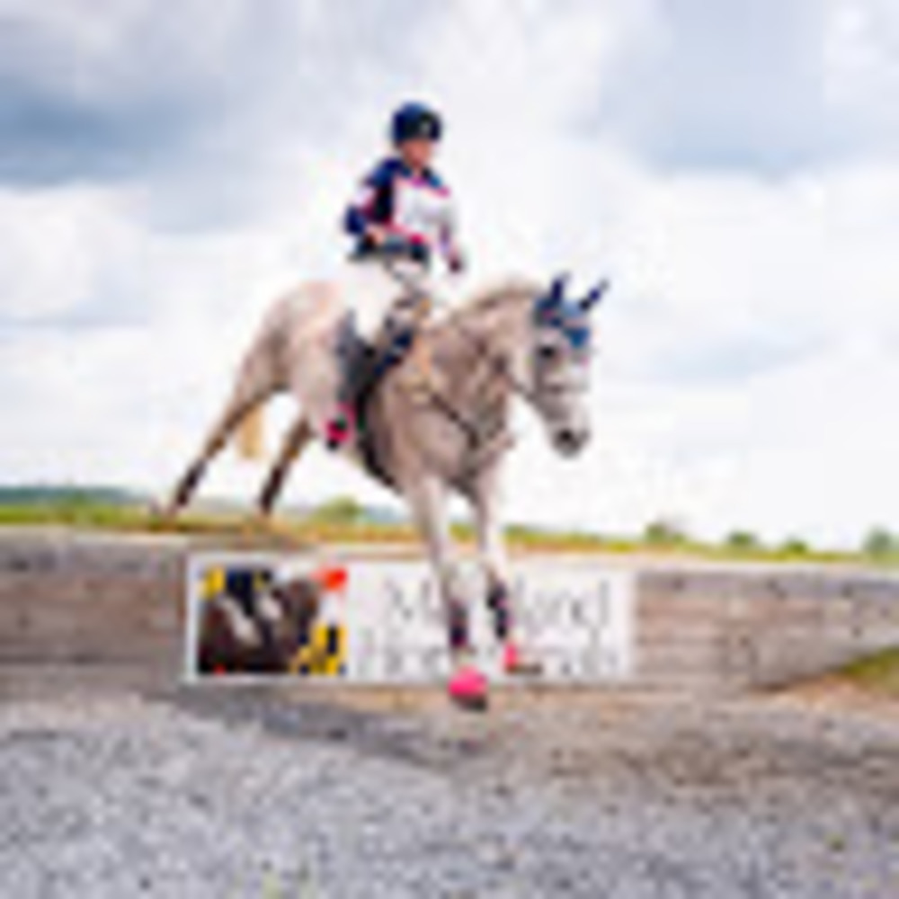 Meet your Posher, Addison